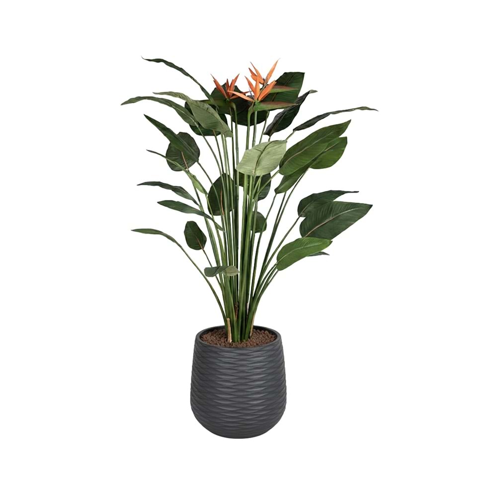 150 CM STARLİÇE
