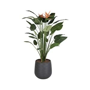 150 CM STARLİÇE