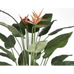 150 CM STARLİÇE