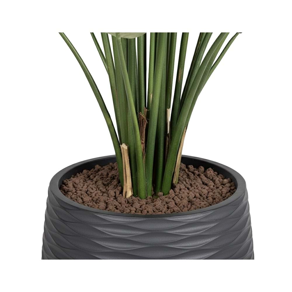 150 CM STARLİÇE