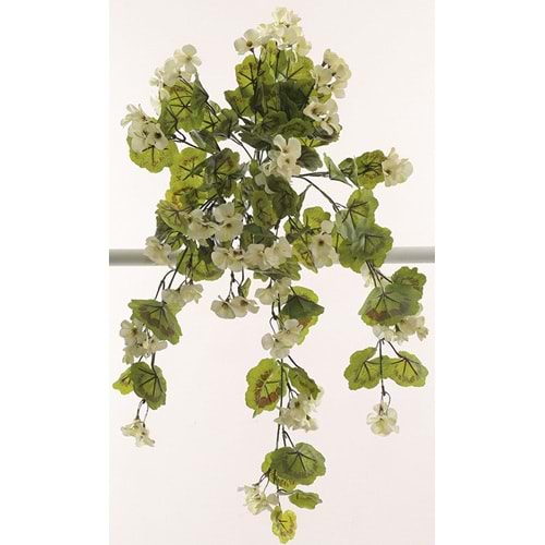 GERANIUM HANGING VINE WHITE