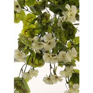 GERANIUM HANGING VINE WHITE