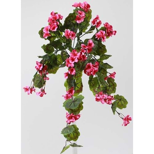 GERANIUM HANGING VINE PINK
