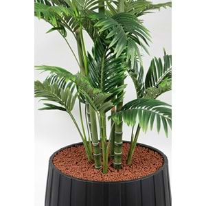 180 CM ARECA PALM