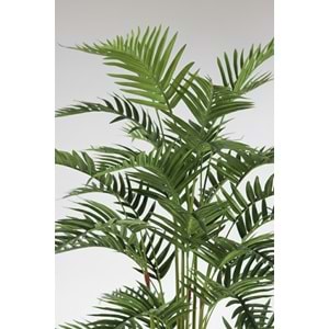 150 CM FERN PALM