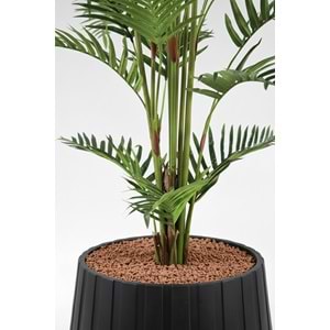 150 CM FERN PALM