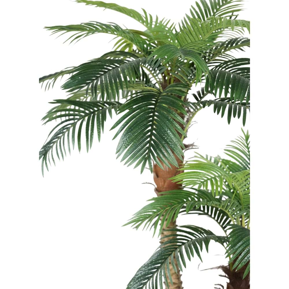 250 CM 2'Lİ PALMİYE 30 LVS