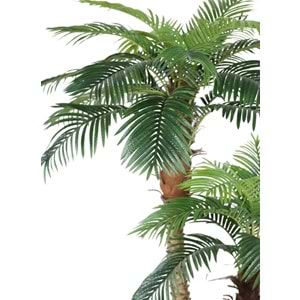 250 CM 2'Lİ PALMİYE 30 LVS