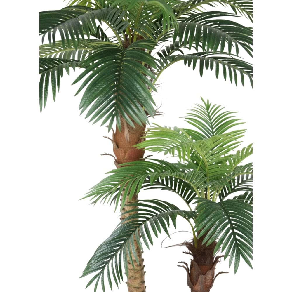250 CM 2'Lİ PALMİYE 30 LVS