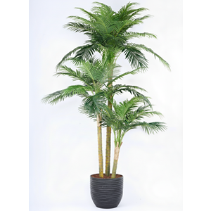 300 CM PHOENIX PALMİYE 3'LÜ