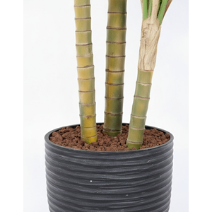 300 CM PHOENIX PALMİYE 3'LÜ