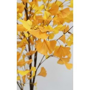 180 CM GINGKO TREE