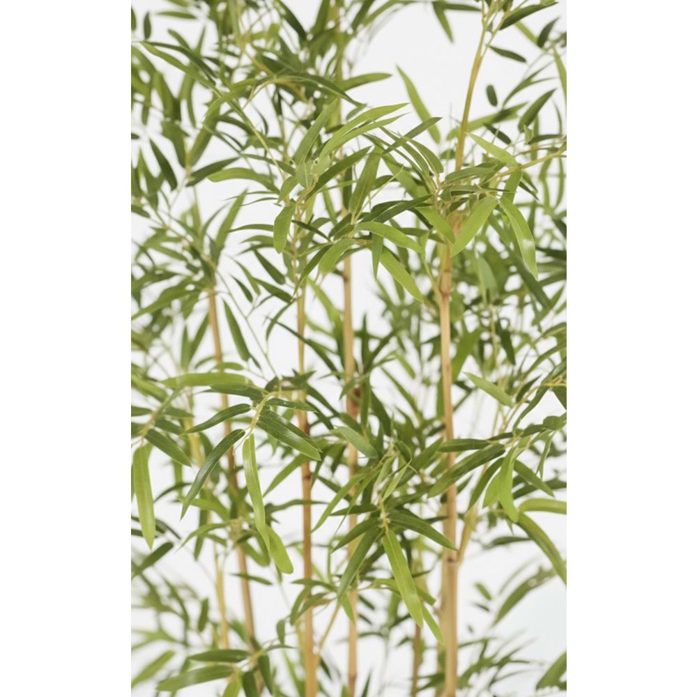 190 CM BAMBU AĞACI
