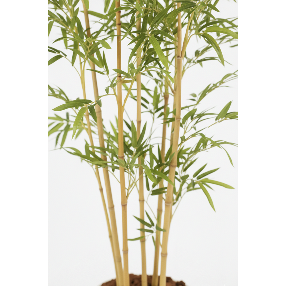 190 CM BAMBU AĞACI