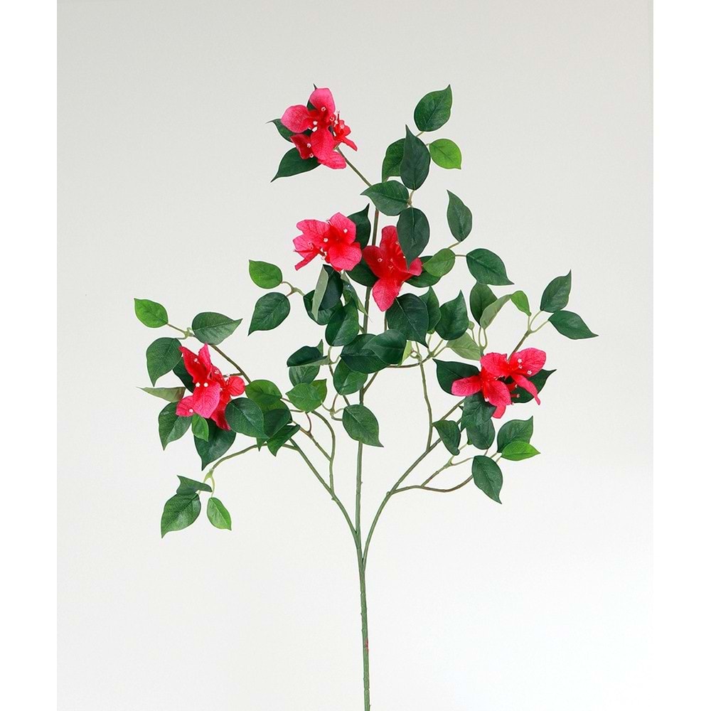 BEGONVİL DAL 65CM