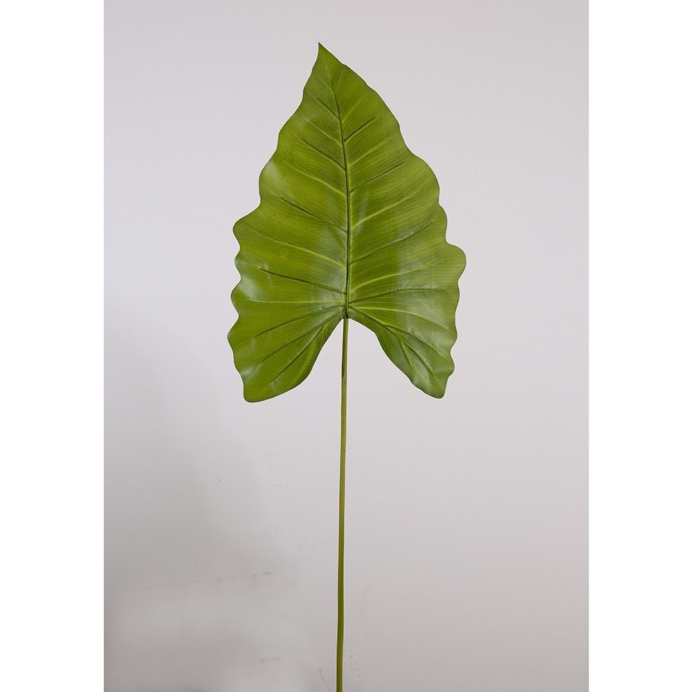 CALLA TEK DAL 111CM