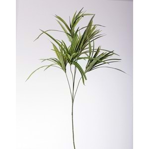 80 CM SPIDER PLANT