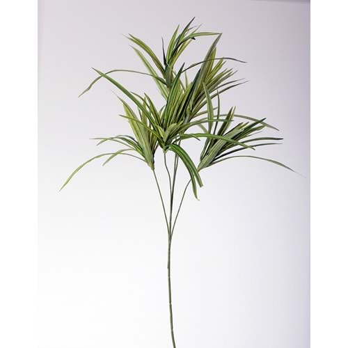 80 CM SPIDER PLANT