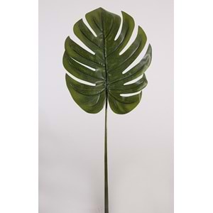 MONSTERA DAL 130CM