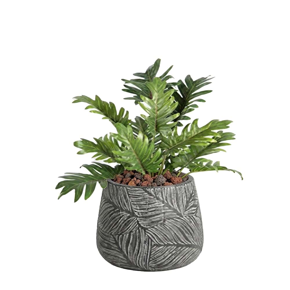 60 CM PHOILI DEMET BİTKİ