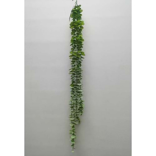 80CM OKALIPTUS SARMAŞIK