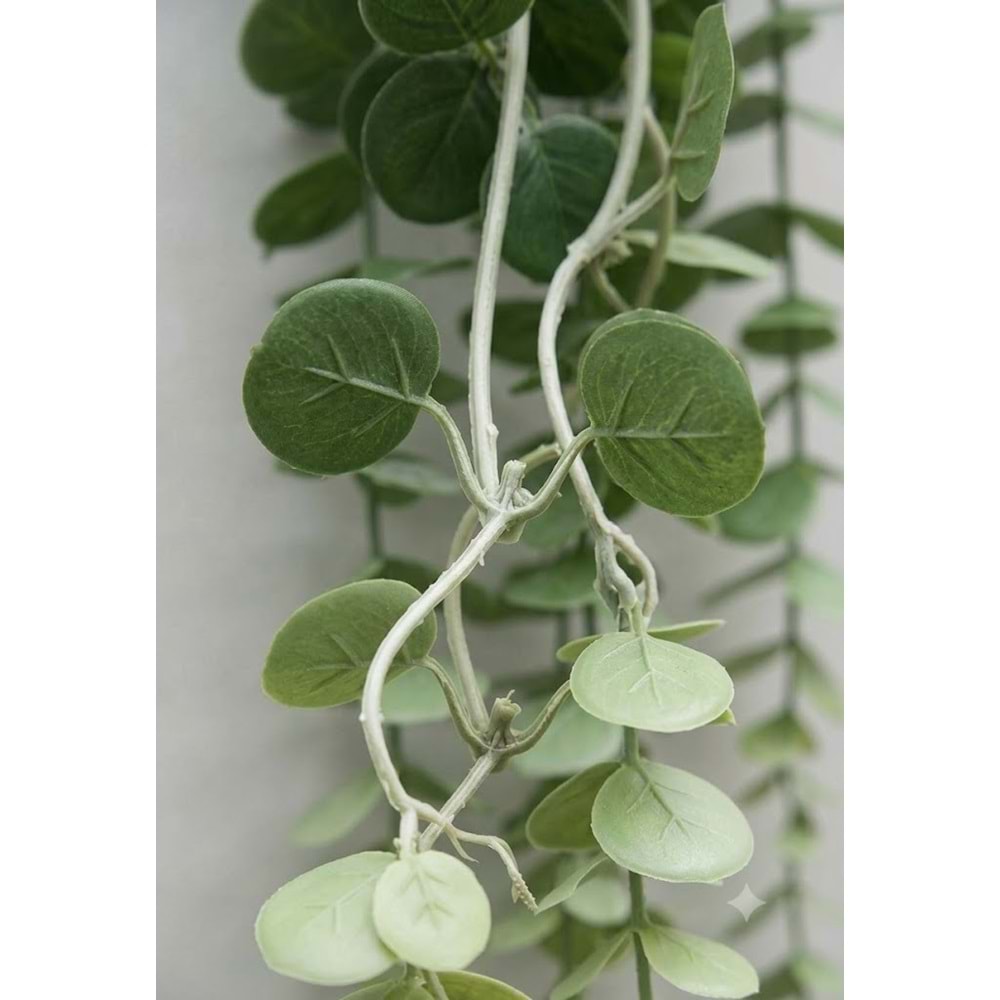 80CM OKALIPTUS SARMAŞIK