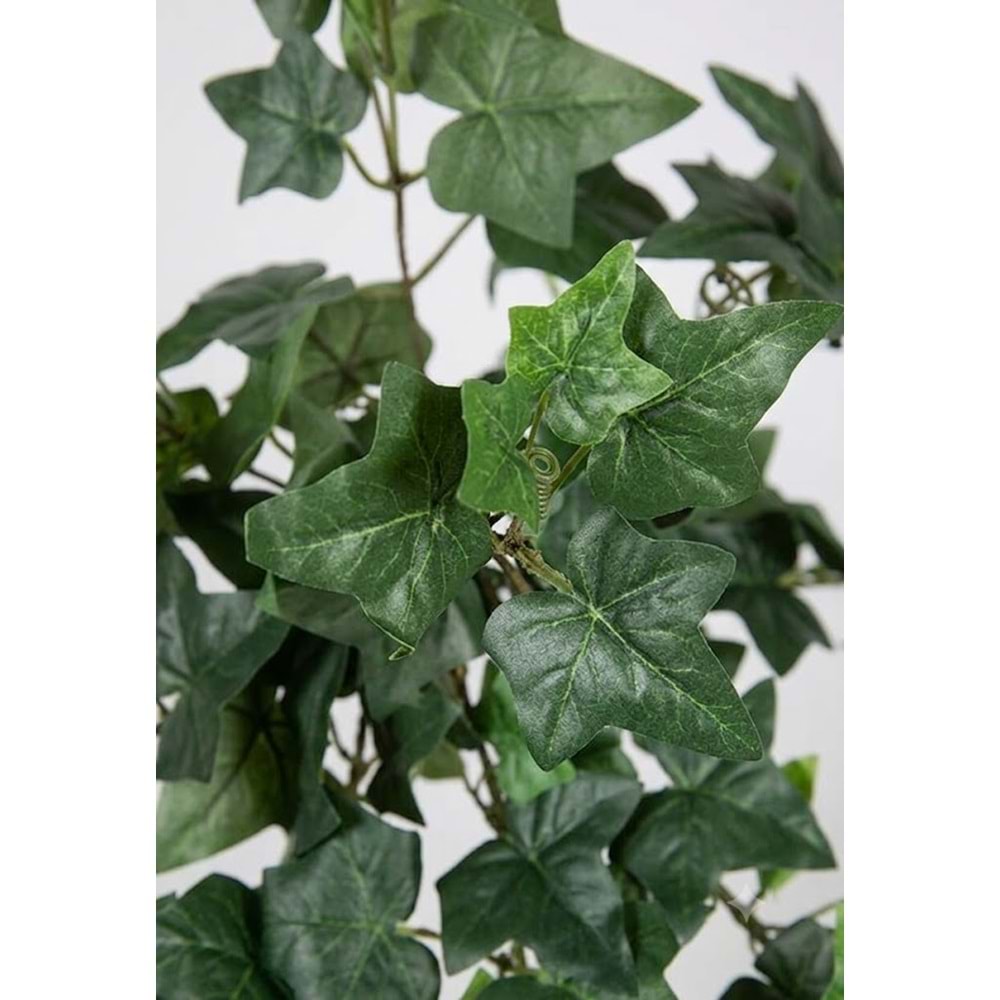 78 CM HEDERA SARMAŞIK