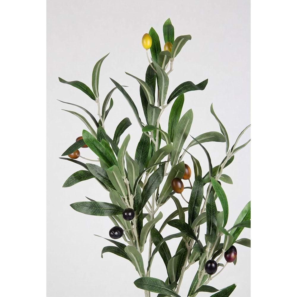 69 CM ZEYTİN DALI