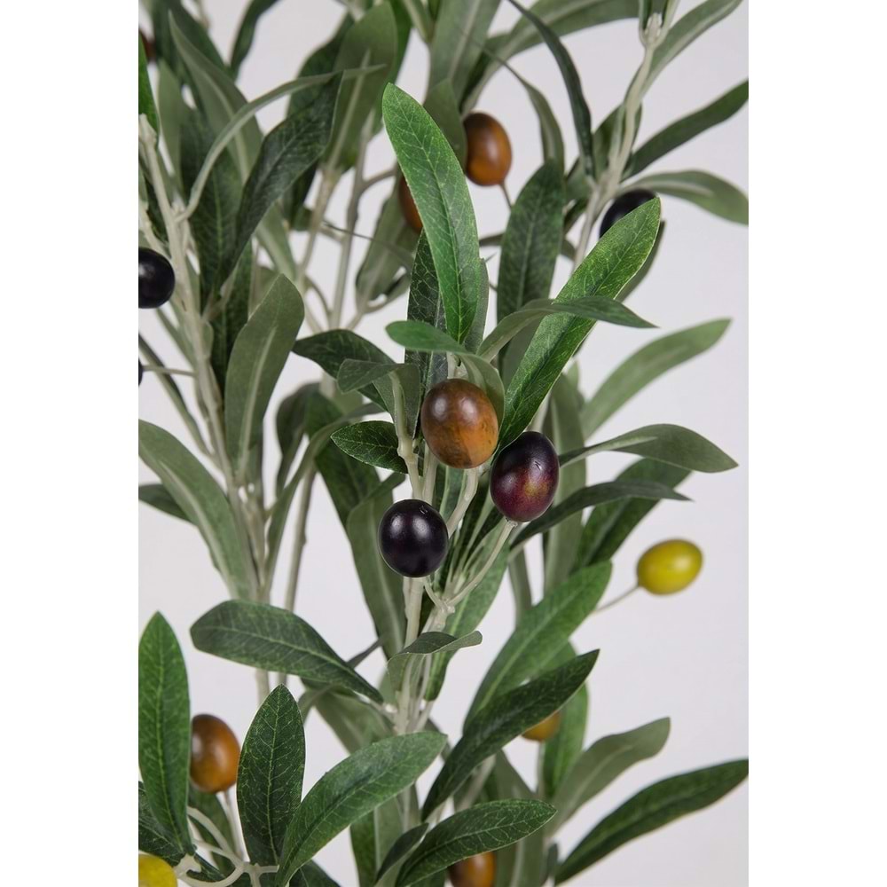 69 CM ZEYTİN DALI