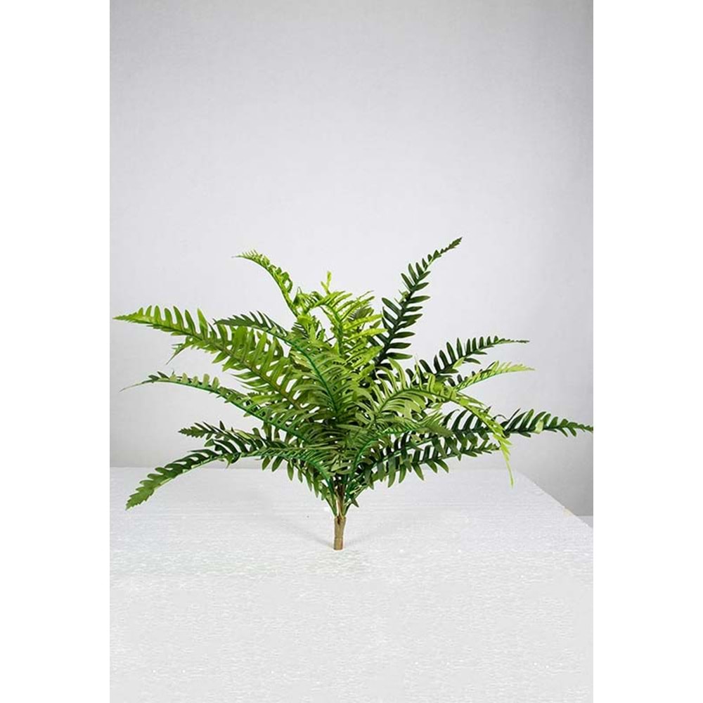 60 CM FUJER