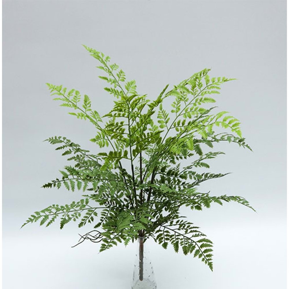 70 CM DEMET BİTKİ