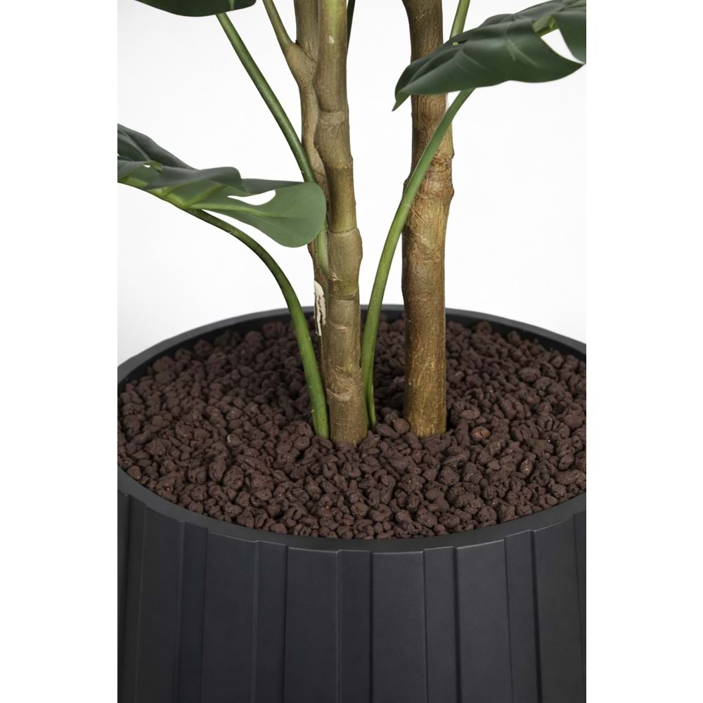 160 CM MONSTERA