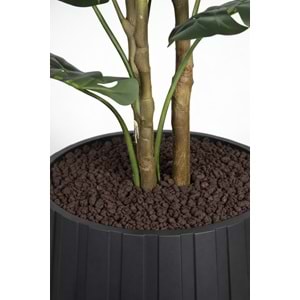 160 CM MONSTERA