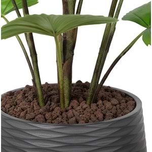 120 CM CIRCULAR PALM