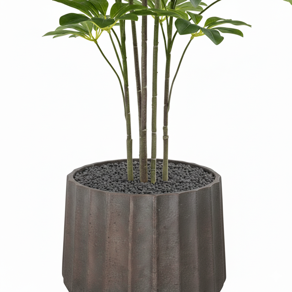 SHEFLERA REAL TOUCH 125 CM