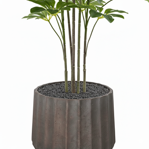 SHEFLERA REAL TOUCH 125 CM