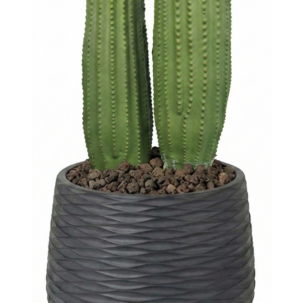 58 CM KAKTÜS