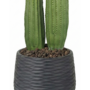 58 CM KAKTÜS