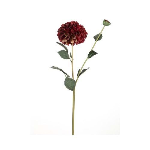 KASIMPATI 77 CM