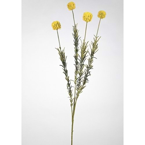 DAL ÇİÇEK SARI 88 CM