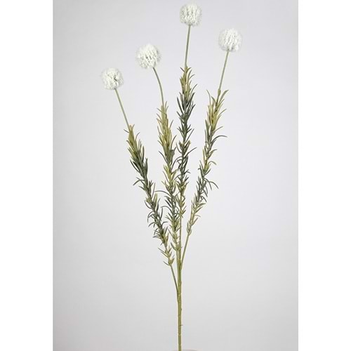 DAL ÇİÇEK KREM 88 CM