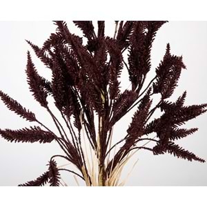DAL ÇİÇEK BORDO 80 CM