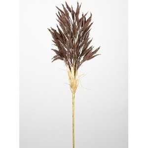 DAL ÇİÇEK KAHVERENGİ 80 CM