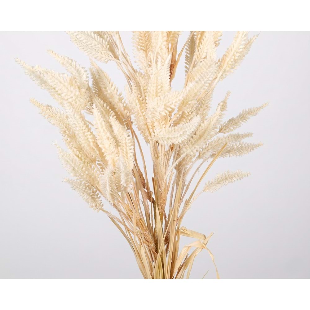 DAL ÇİÇEK KREM 80 CM