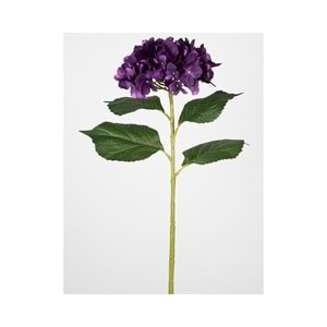 ORTANCA MOR 82 CM