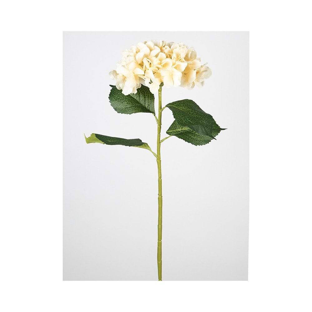 ORTANCA KREM 82 CM