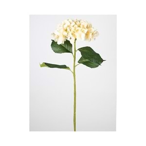 ORTANCA KREM 82 CM