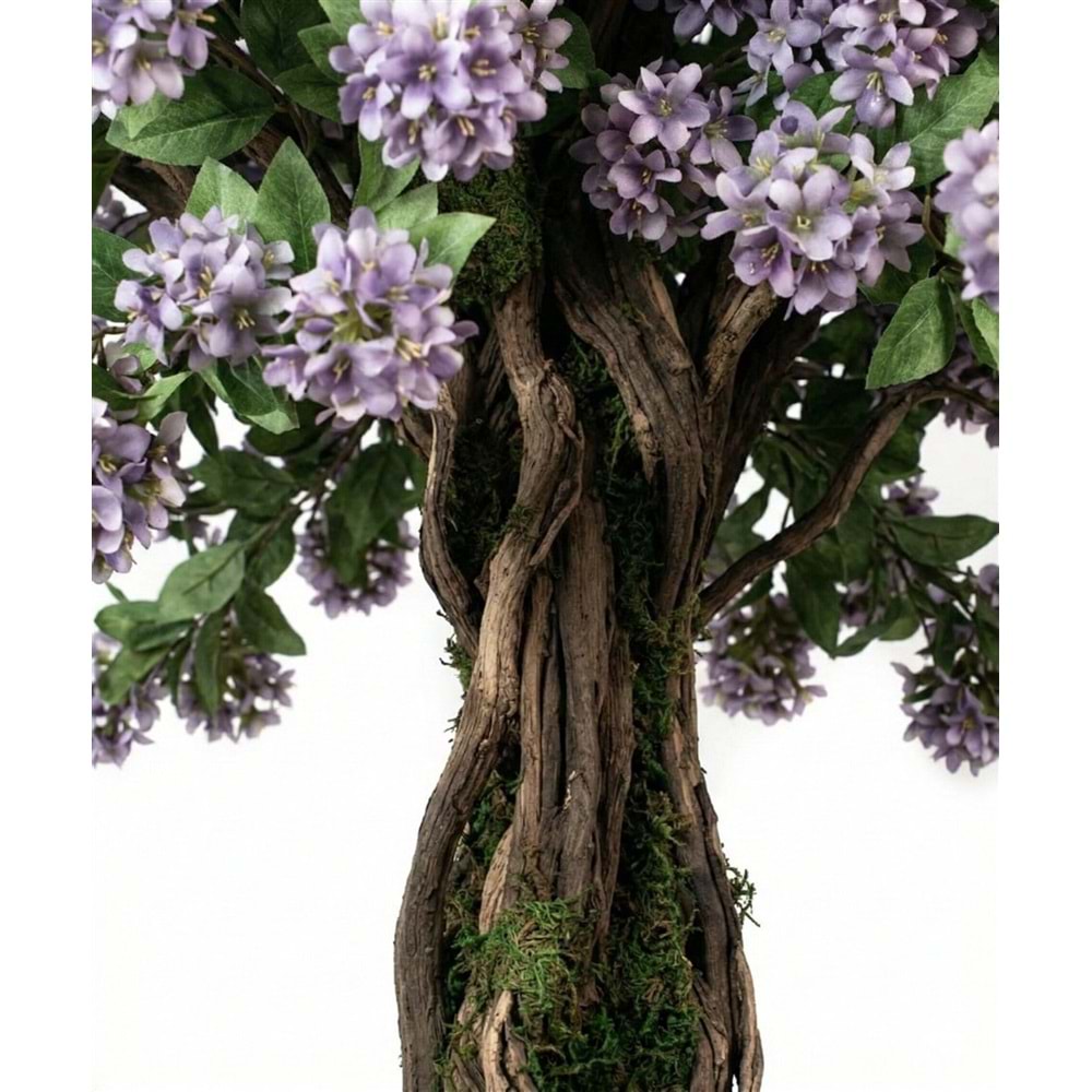 150 CM SAKSILI MOR DALLI AĞAÇ BONSAI