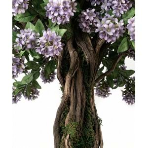 150 CM SAKSILI MOR DALLI AĞAÇ BONSAI