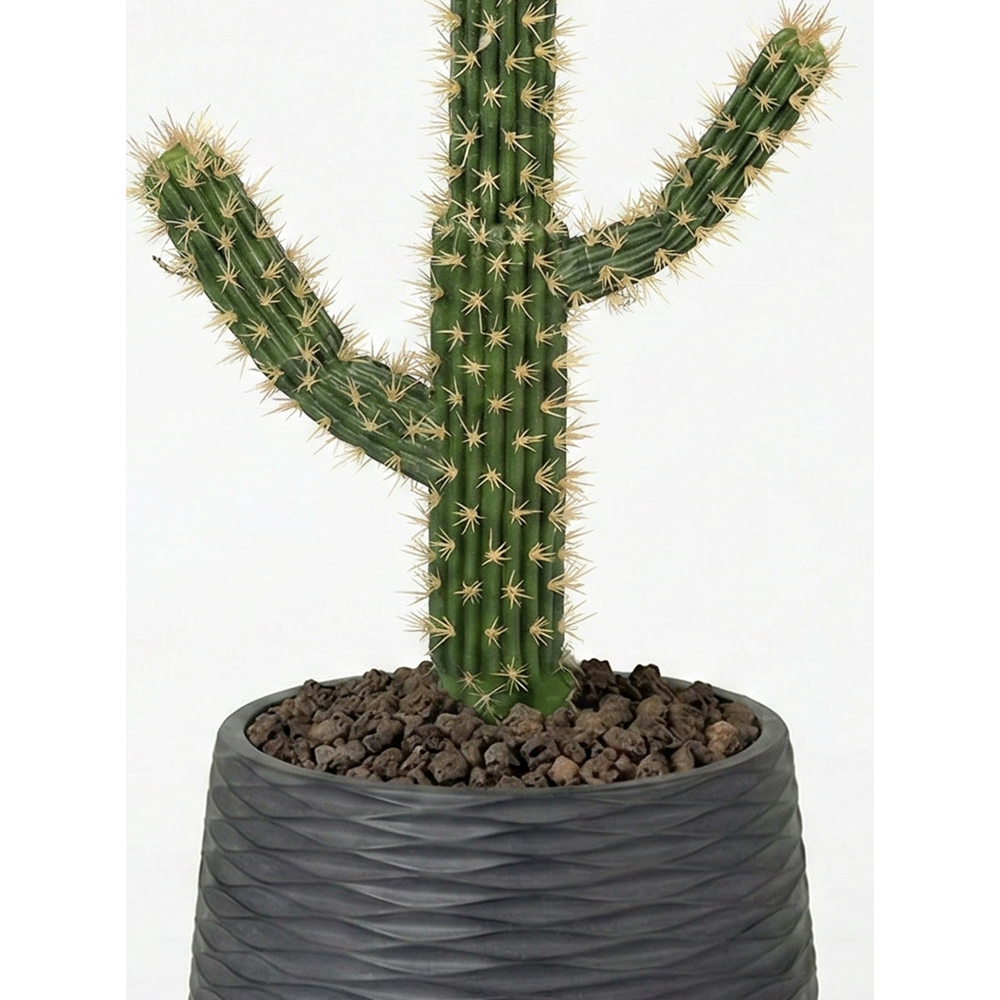 75 CM KAKTÜS